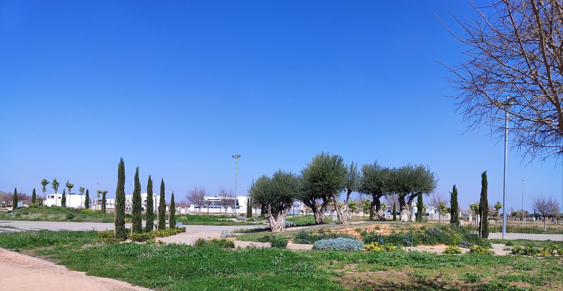 Atico en Torre Pacheco