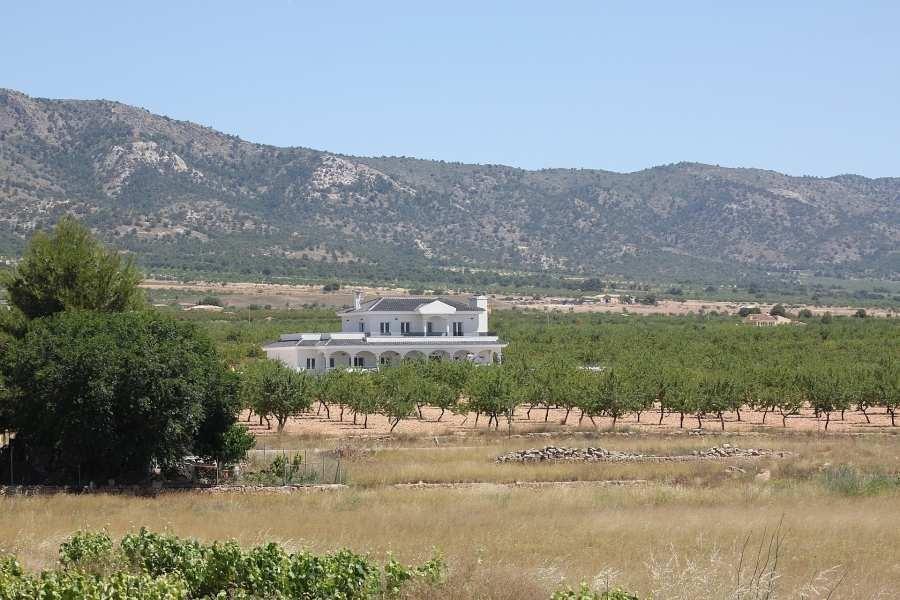 Villa en Pinoso