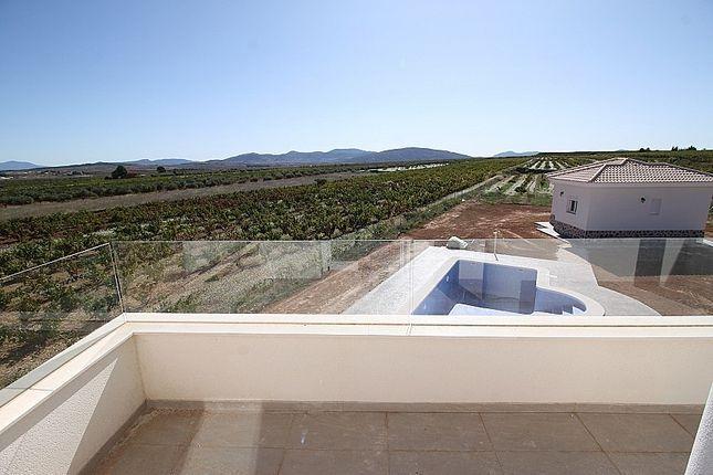 Villa en Pinoso