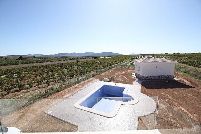 Villa en Pinoso