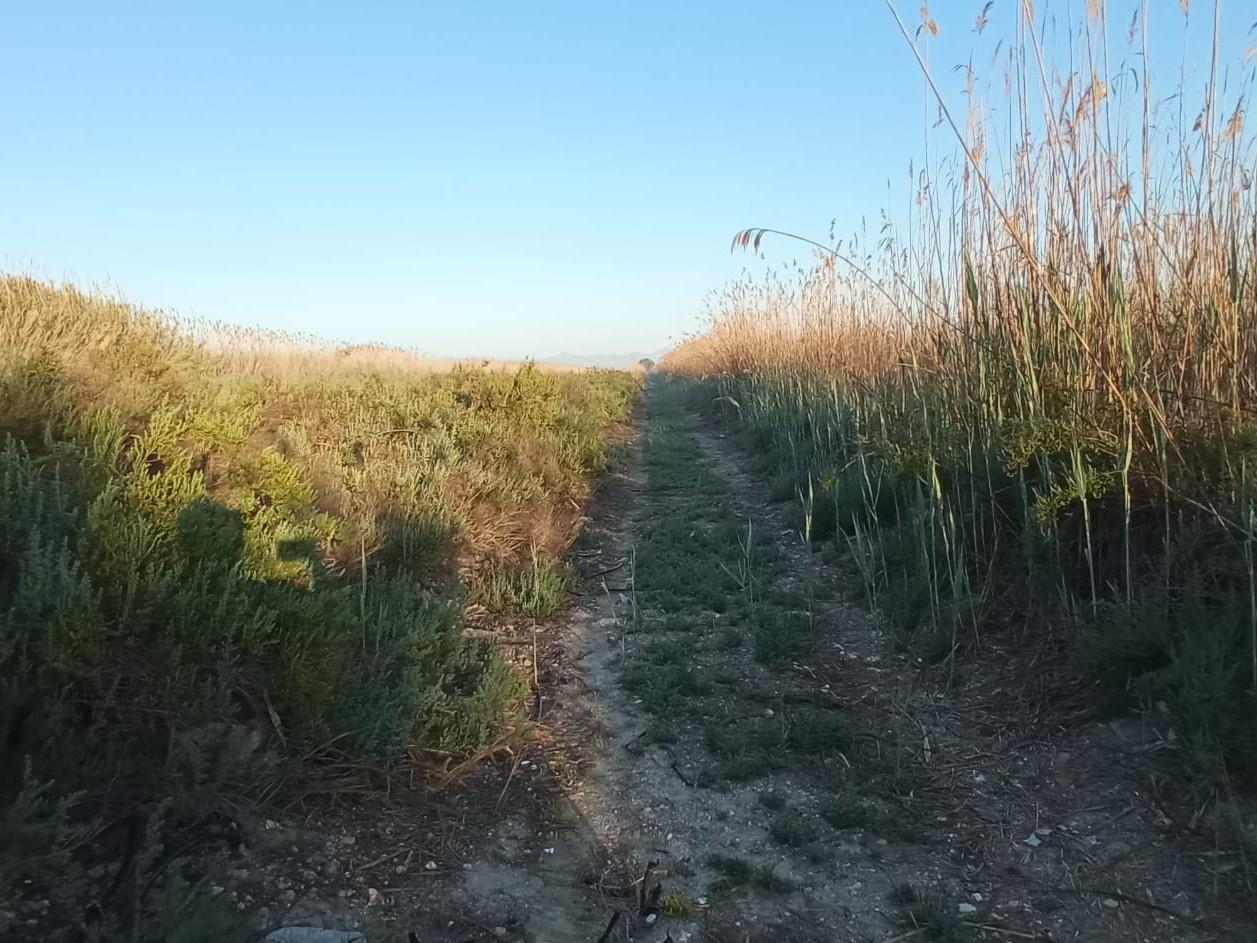 Terreno en San Fulgencio