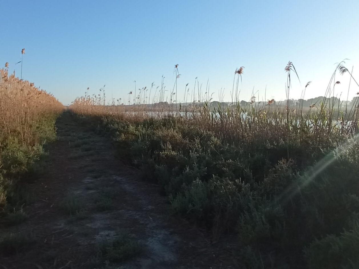 Terreno en San Fulgencio