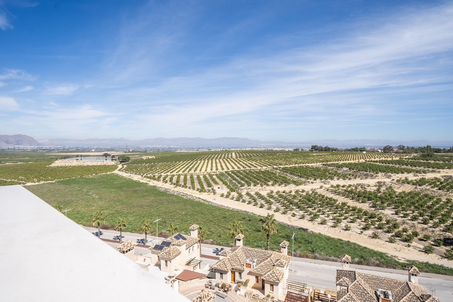 Villa en Algorfa
