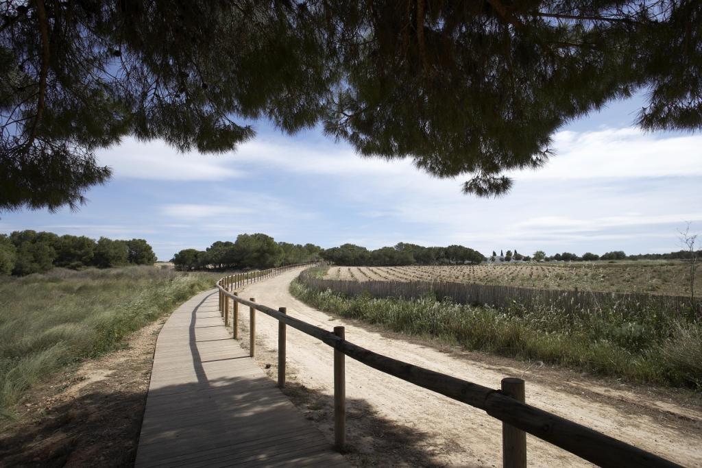 Chalet en Torrevieja