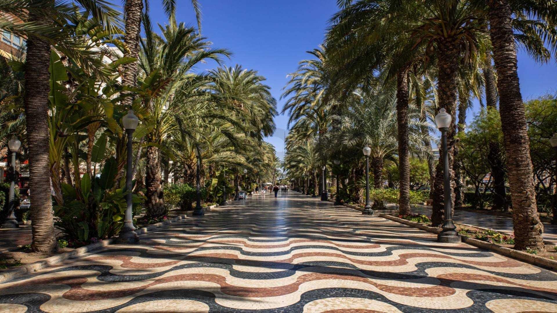 Atico en Alicante