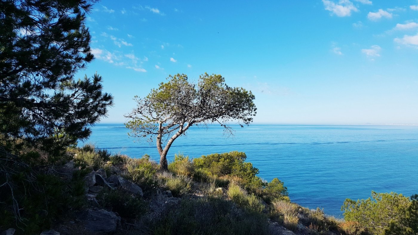 Apartamento Obra Nueva con Piscina Privada a 50m de la Playa en Villajoyosa