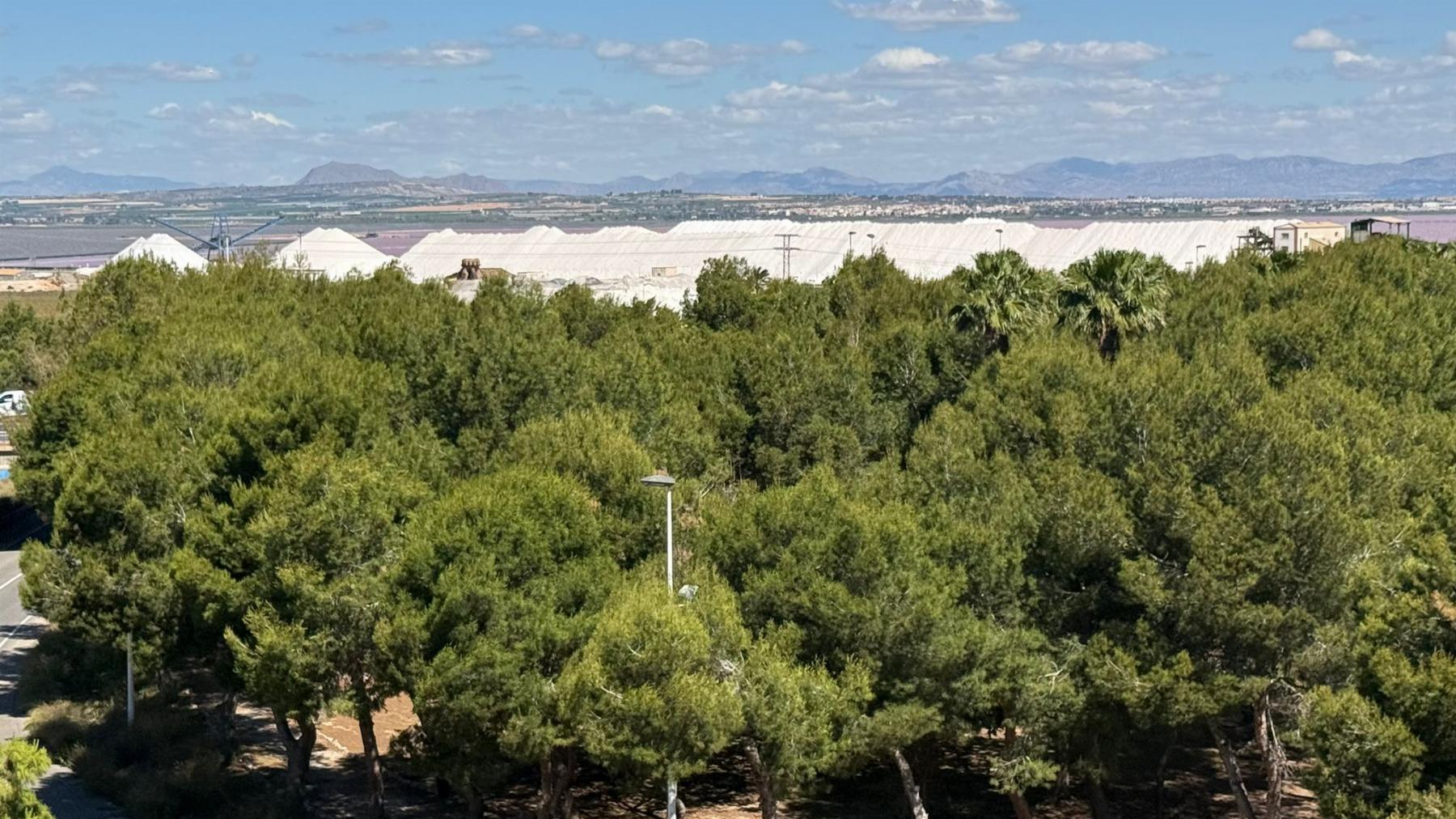 Apartamento en Torrevieja