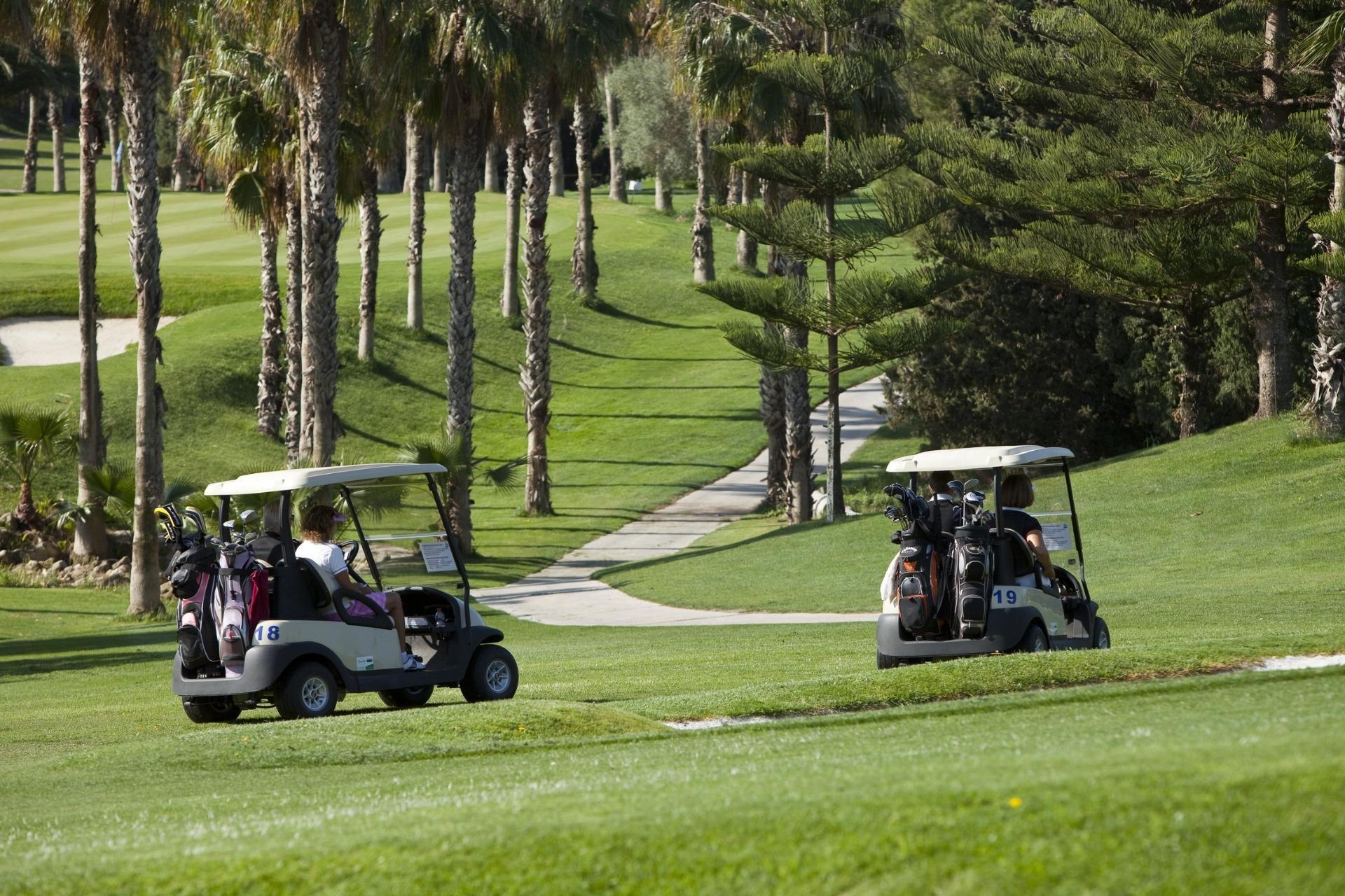 Ático exclusivo con piscina privada junto al Golf Campoamor – 2 dorm.