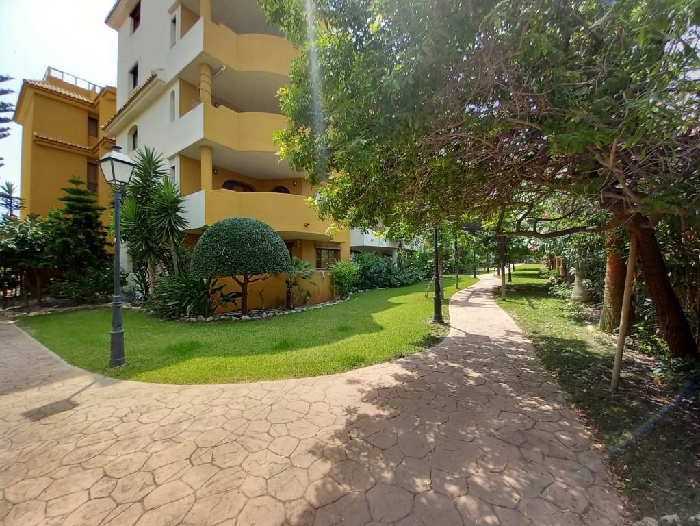 Ático en Punta Prima con solárium privado y vistas al mar — 160 m²
