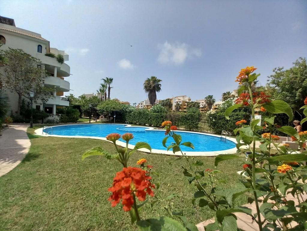 Ático en Punta Prima con solárium privado y vistas al mar — 160 m²