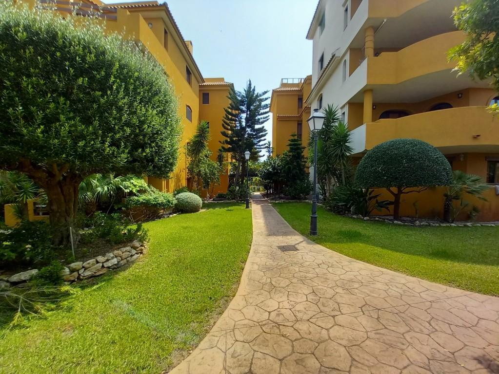 Ático en Punta Prima con solárium privado y vistas al mar — 160 m²