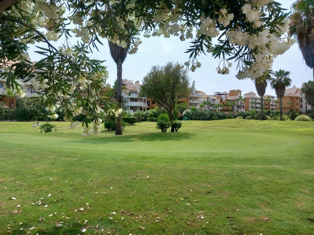 Ático en Punta Prima con solárium privado y vistas al mar — 160 m²
