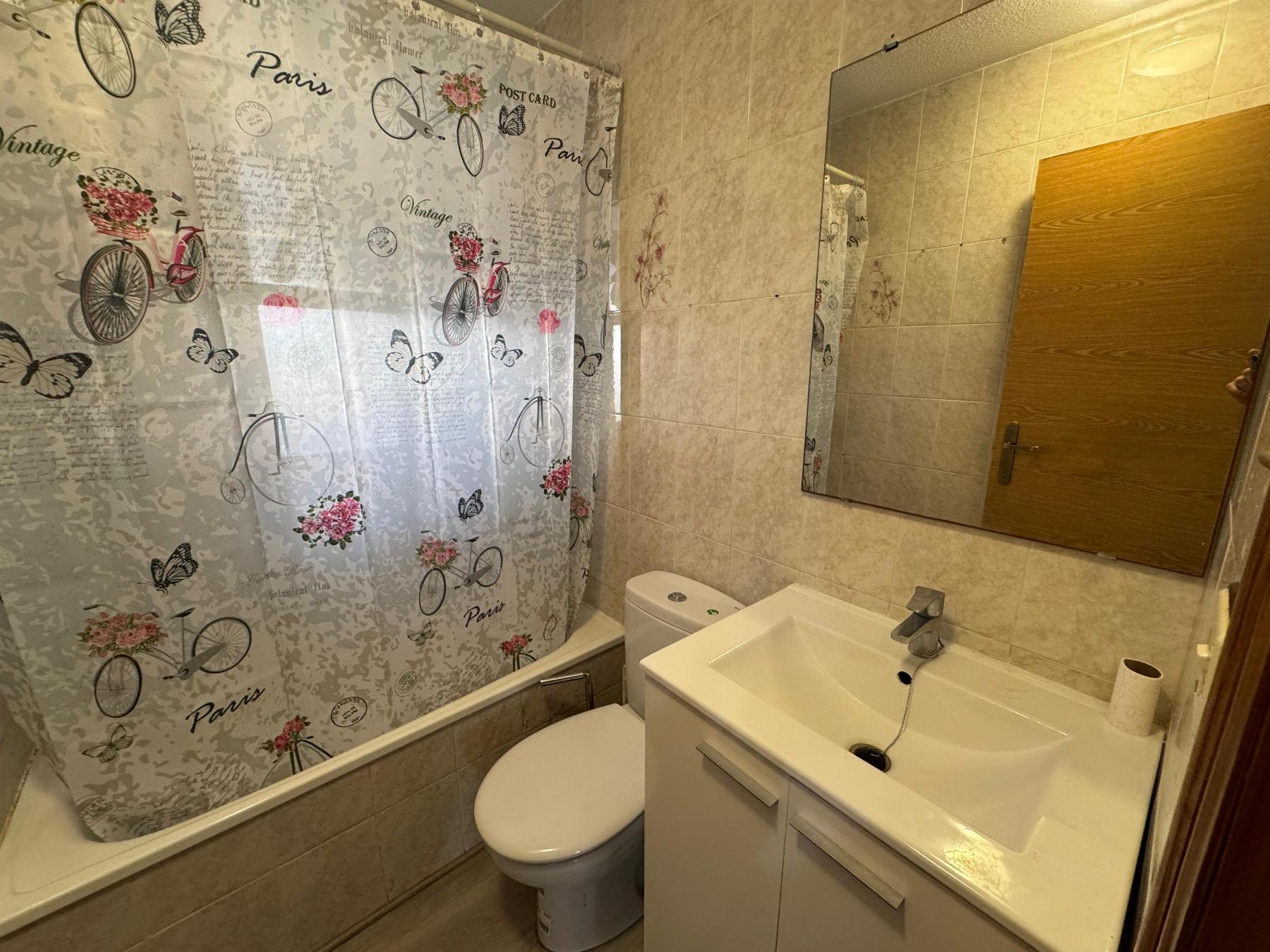 Estudio en Torrevieja