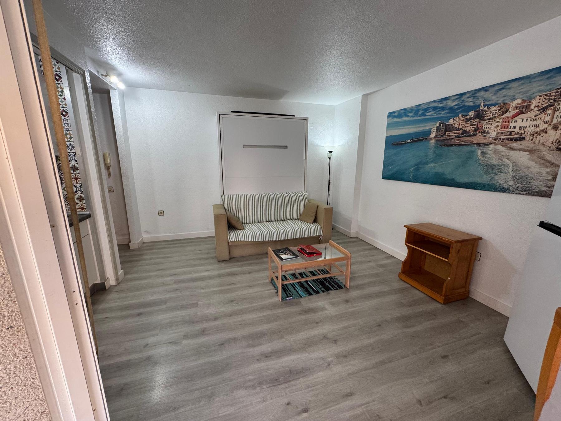 Estudio en Torrevieja