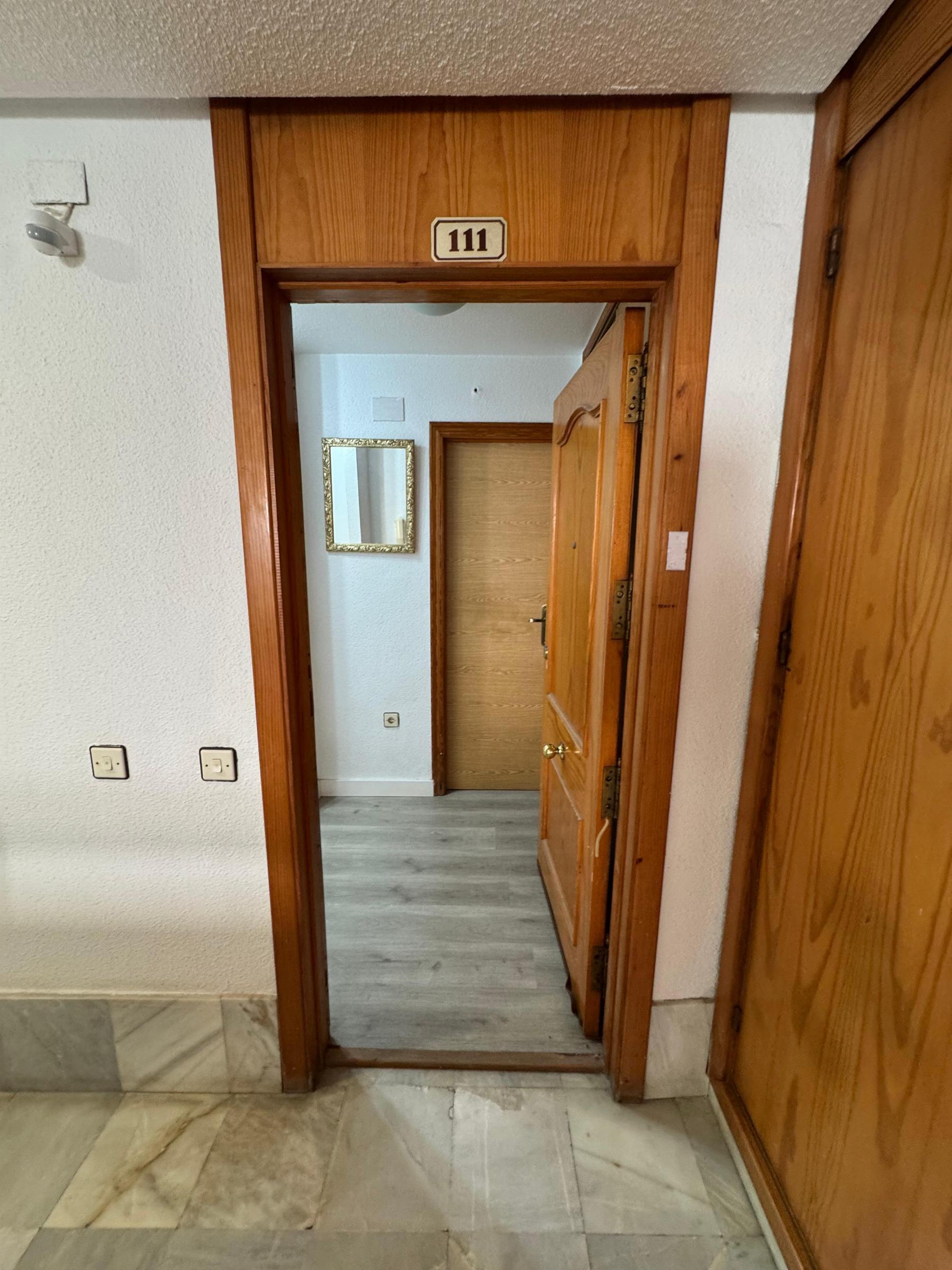 Estudio en Torrevieja
