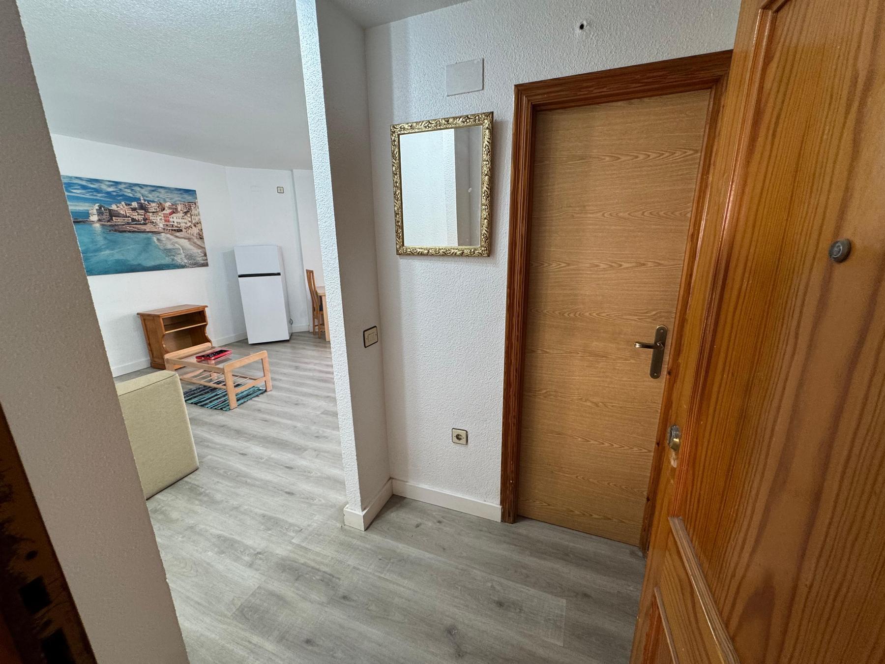 Estudio en Torrevieja