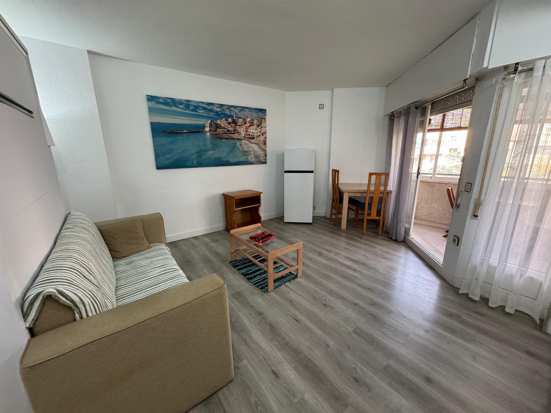 Estudio en Torrevieja