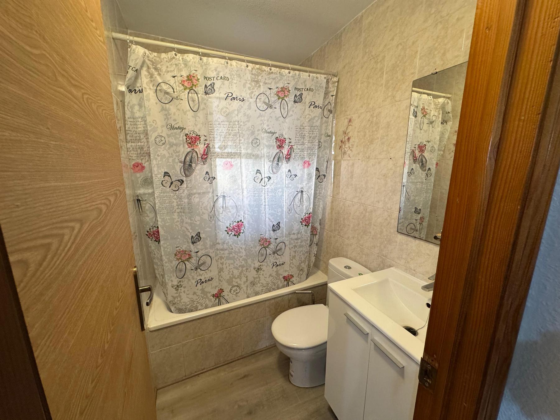 Estudio en Torrevieja