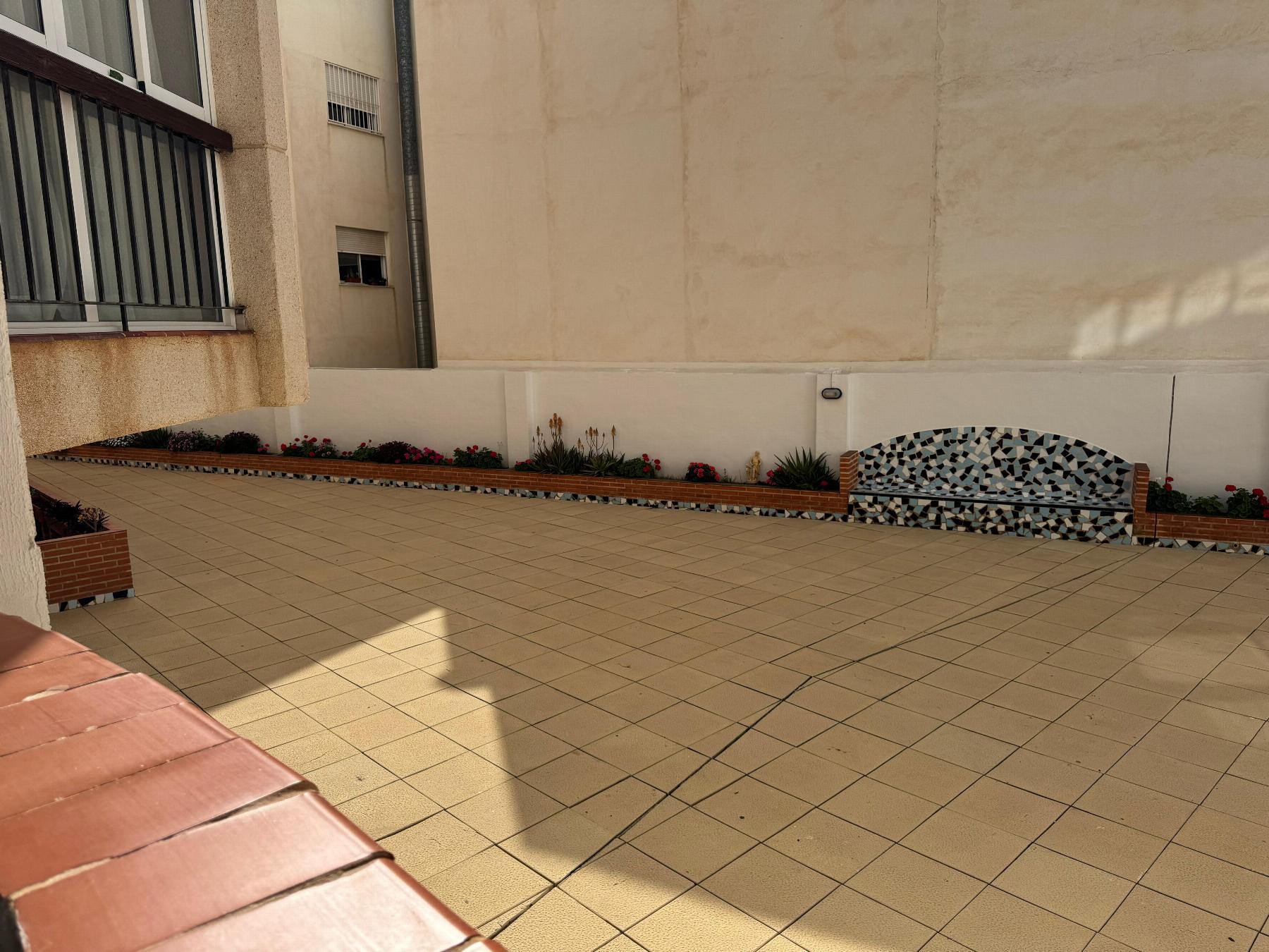 Estudio en Torrevieja
