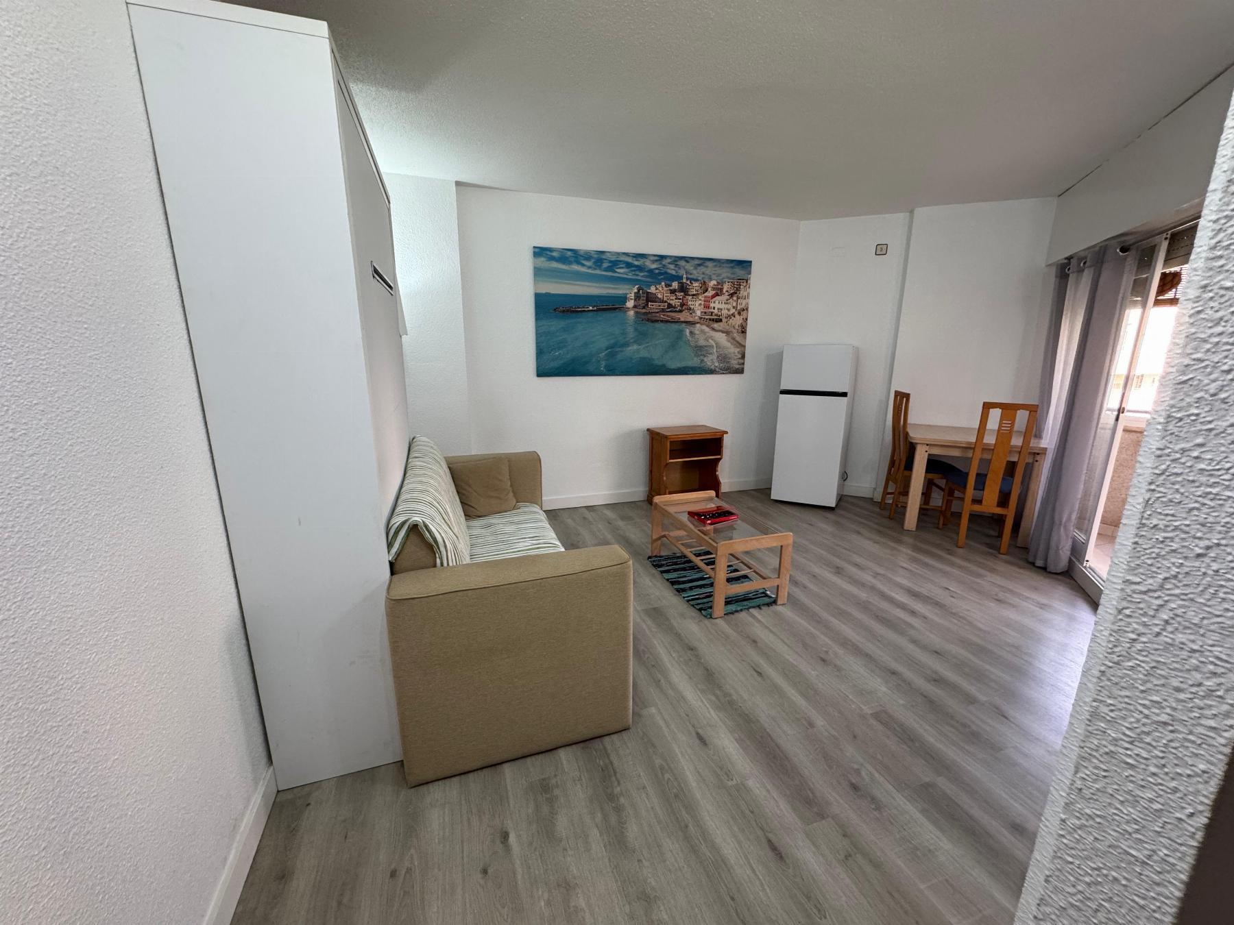 Estudio en Torrevieja