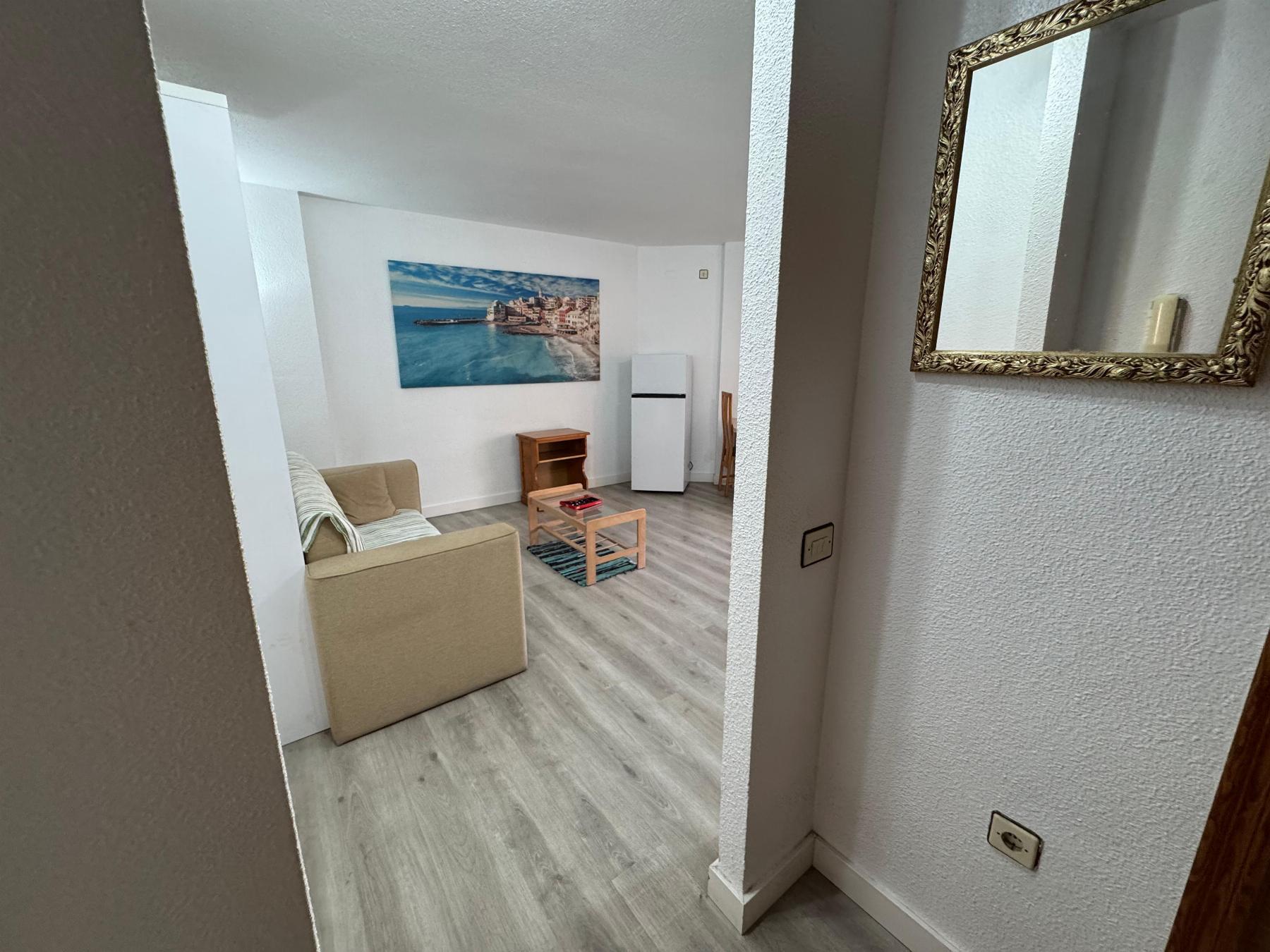 Estudio en Torrevieja