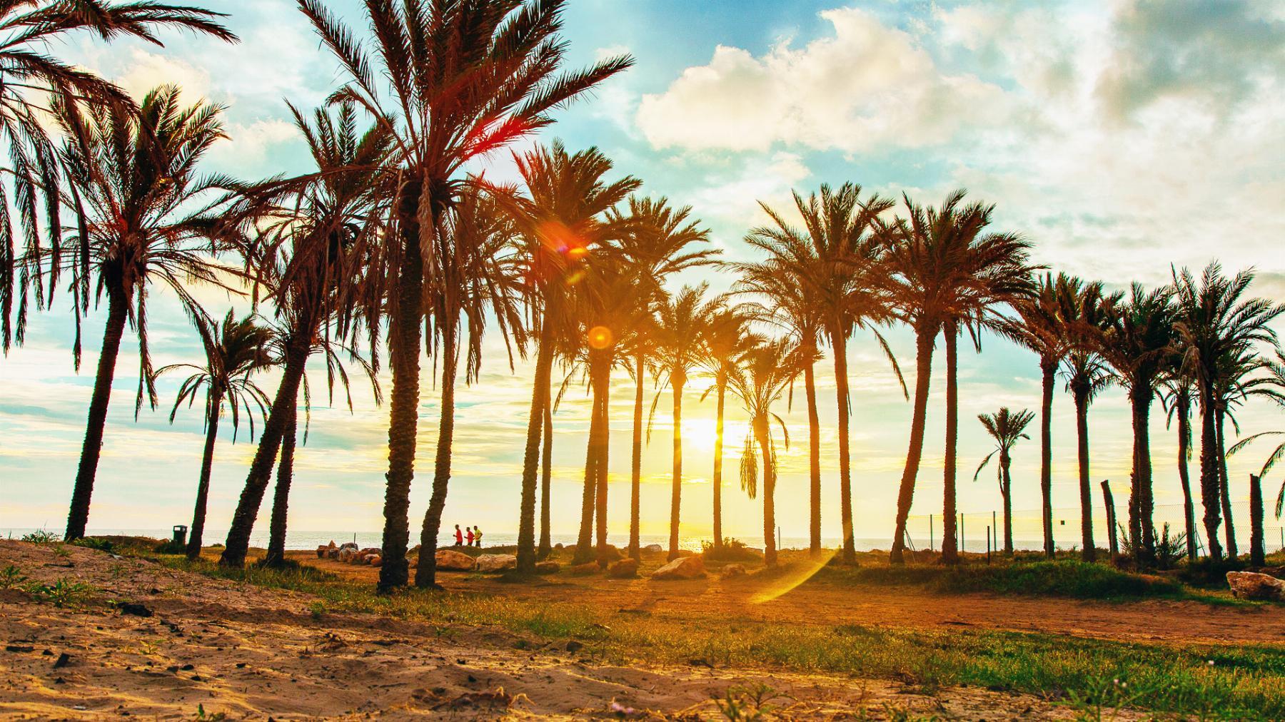 Apartamento en Torrevieja