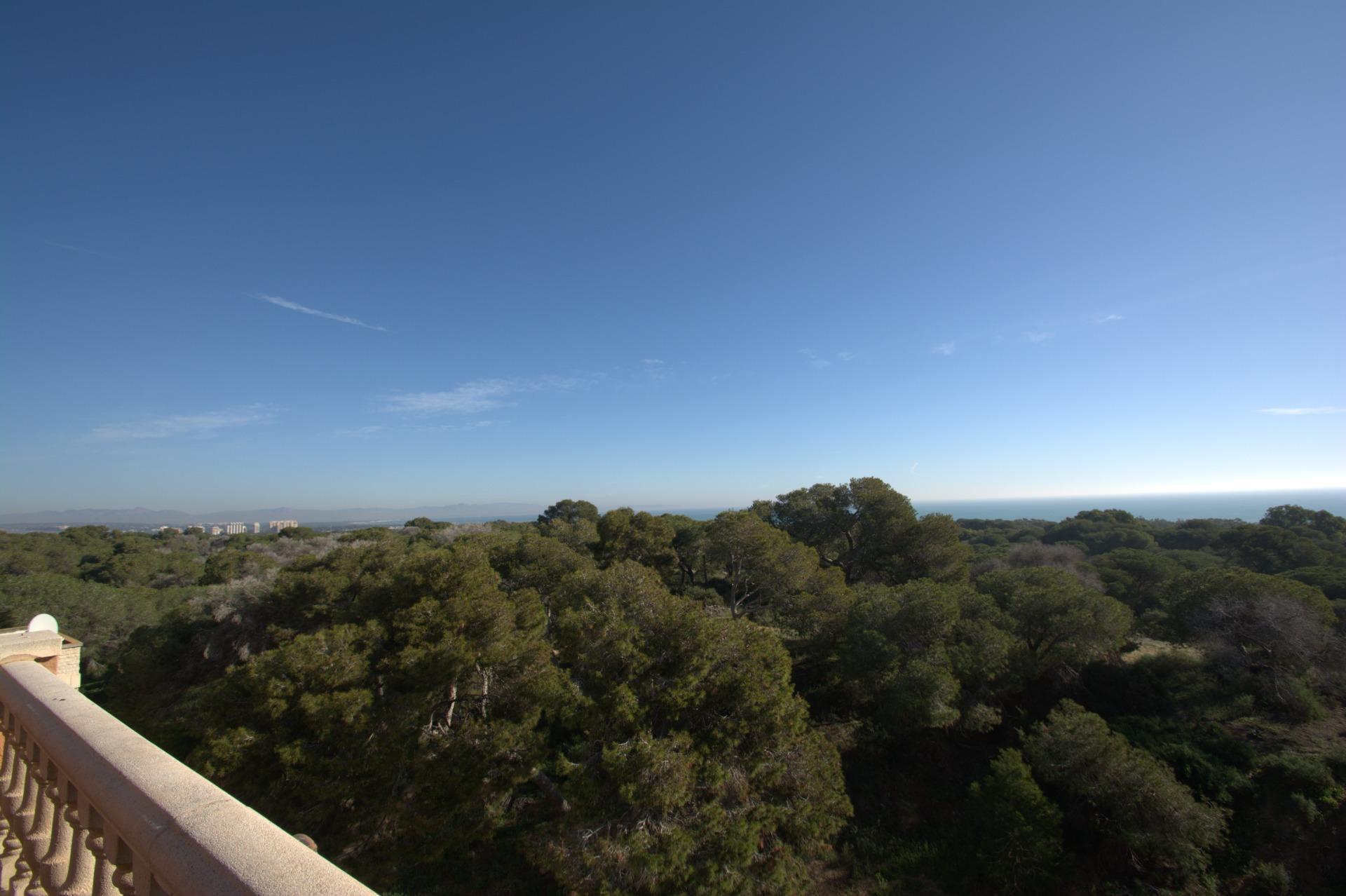 Apartamento en Guardamar del Segura