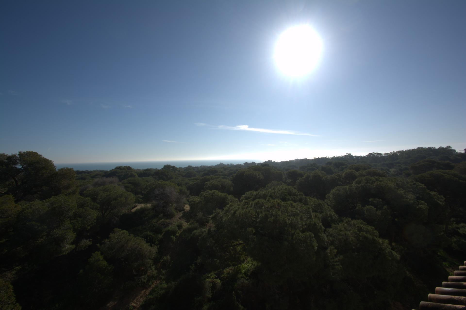 Apartamento en Guardamar del Segura