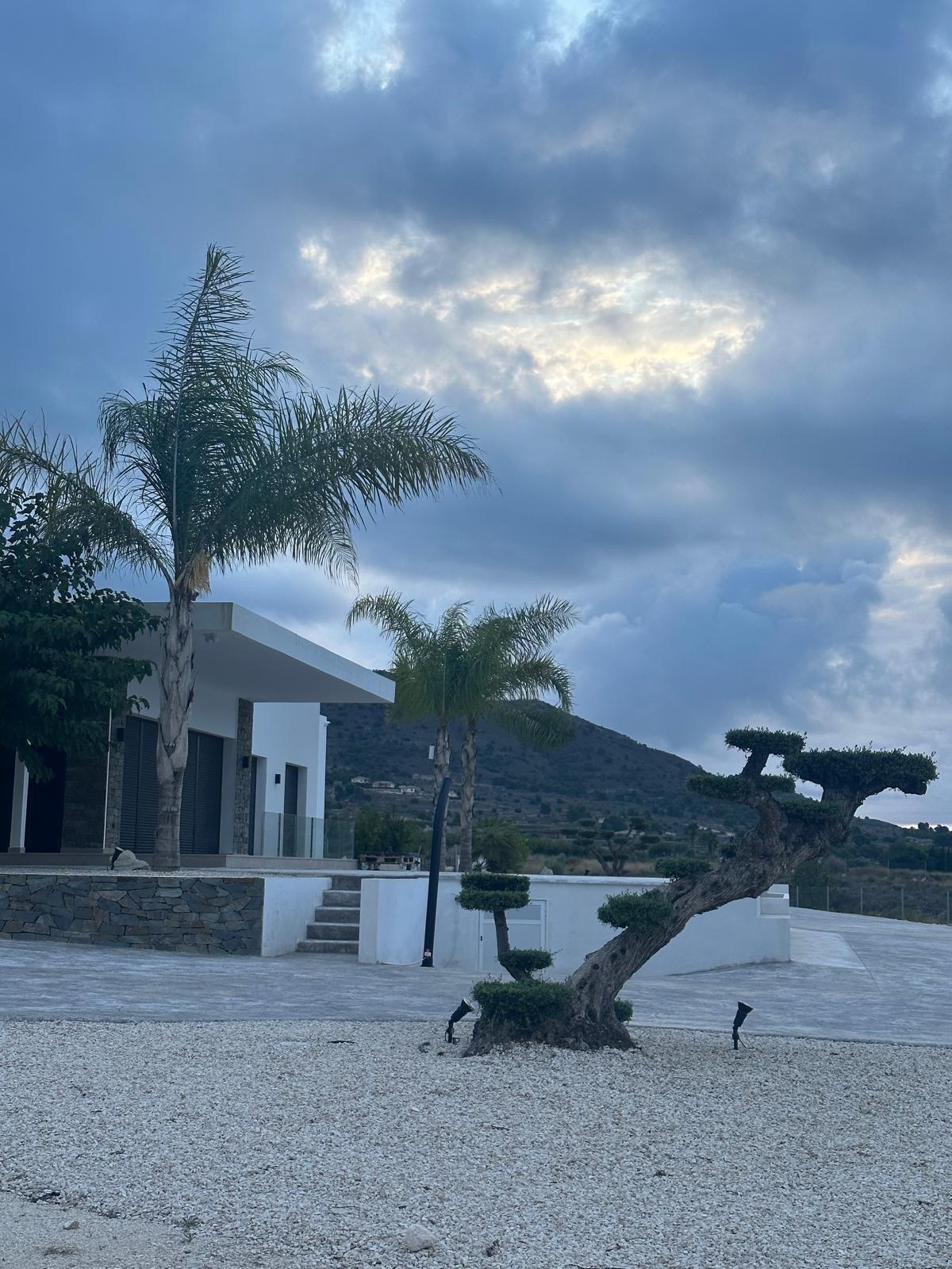 Villa de diseño con parcela de 10.116 m² y piscina en Pinoso — Obra nueva