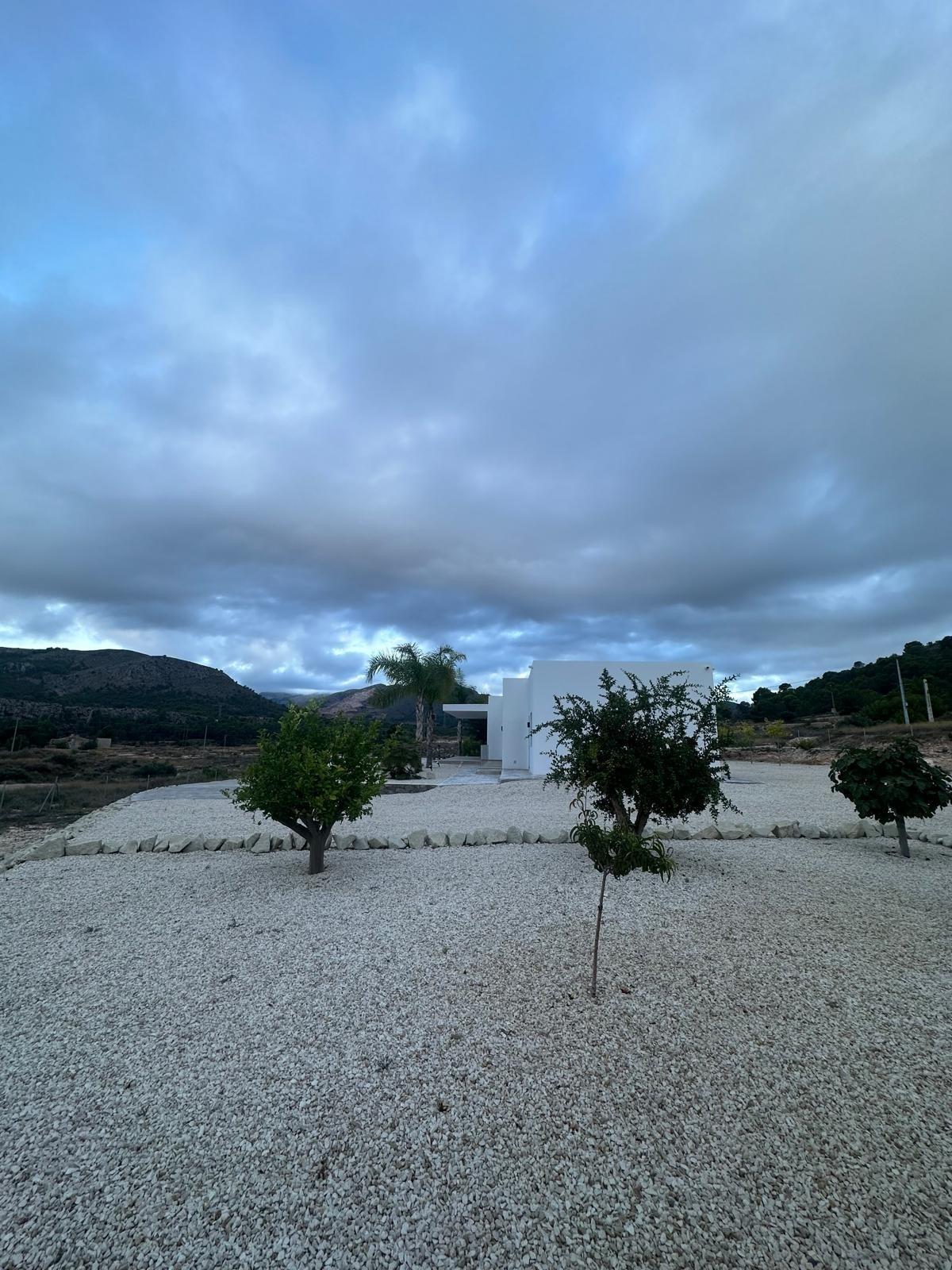 Villa de diseño con parcela de 10.116 m² y piscina en Pinoso — Obra nueva