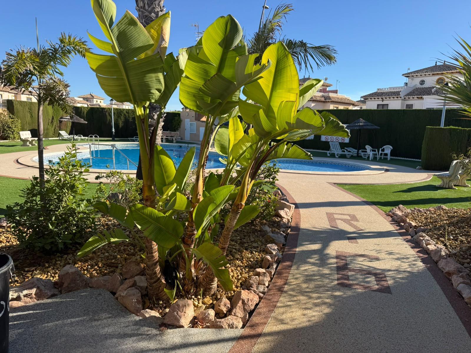 Dúplex con jardín privado y solárium en Lomas de Cabo Roig — 2 dorm.