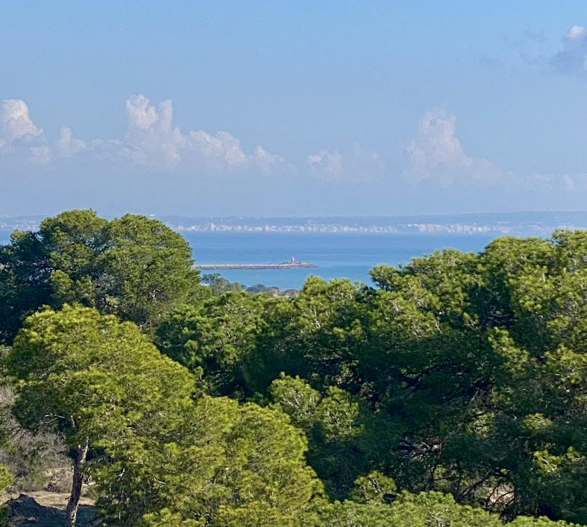 Apartamento de lujo frente al pinar en Guardamar – 2 hab, 2 baños y vistas al mar
