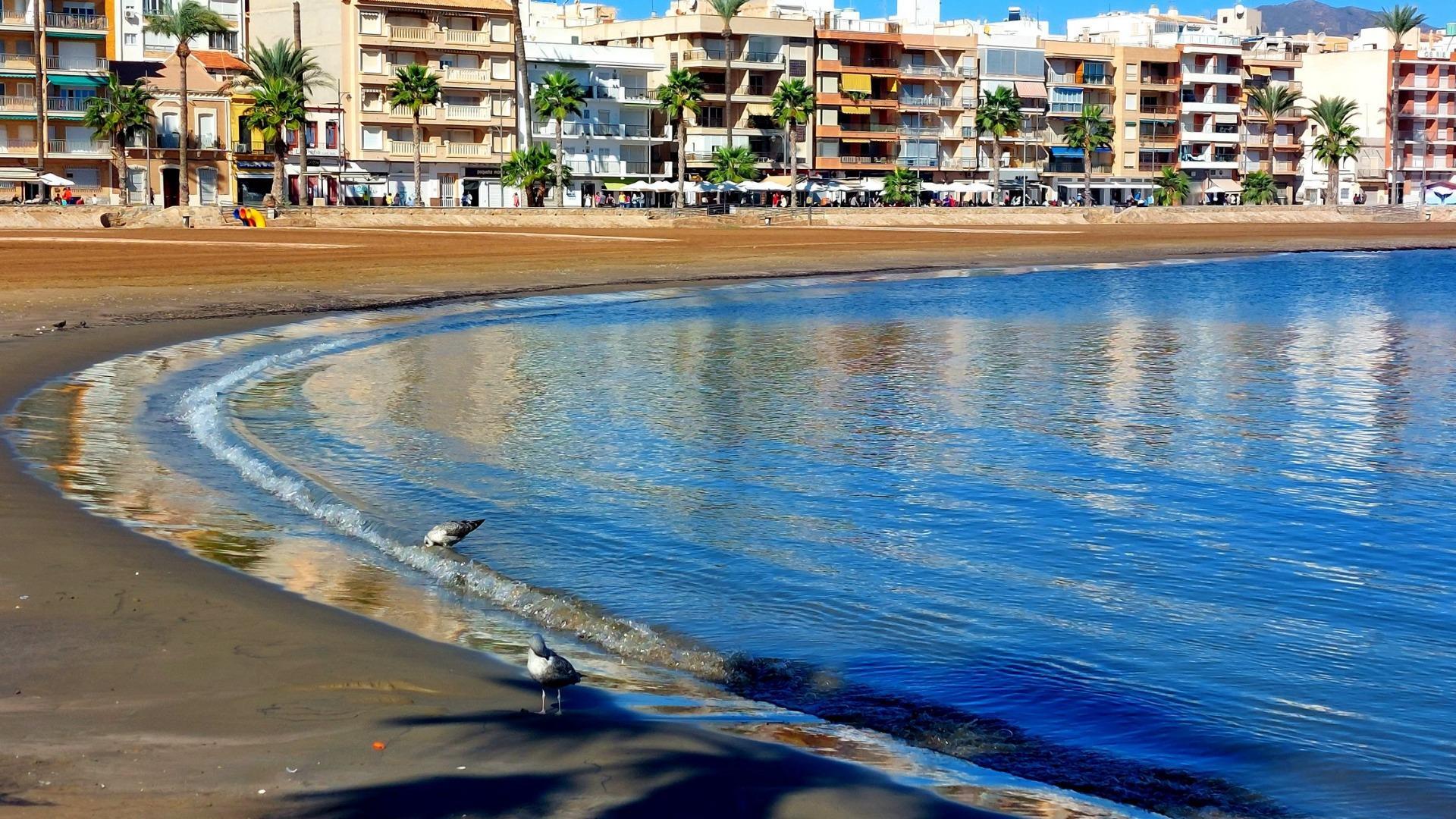 Piso de obra nueva con piscina privada y solárium en Fuente Álamo — 2 dorm.